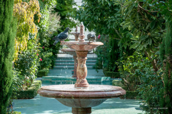 Great Mosque of Paris