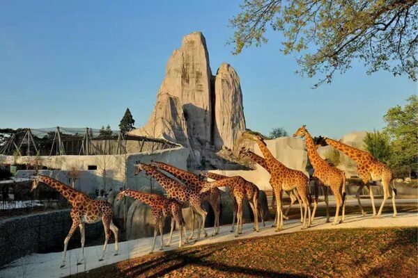 Paris Zoological Park (Zoo de Vincennes)