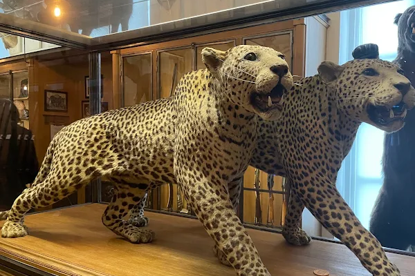 Hunting and Nature Museum