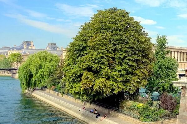 Square du Vert-Galant