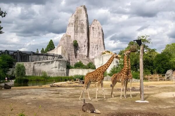 Parc zoologique de Paris